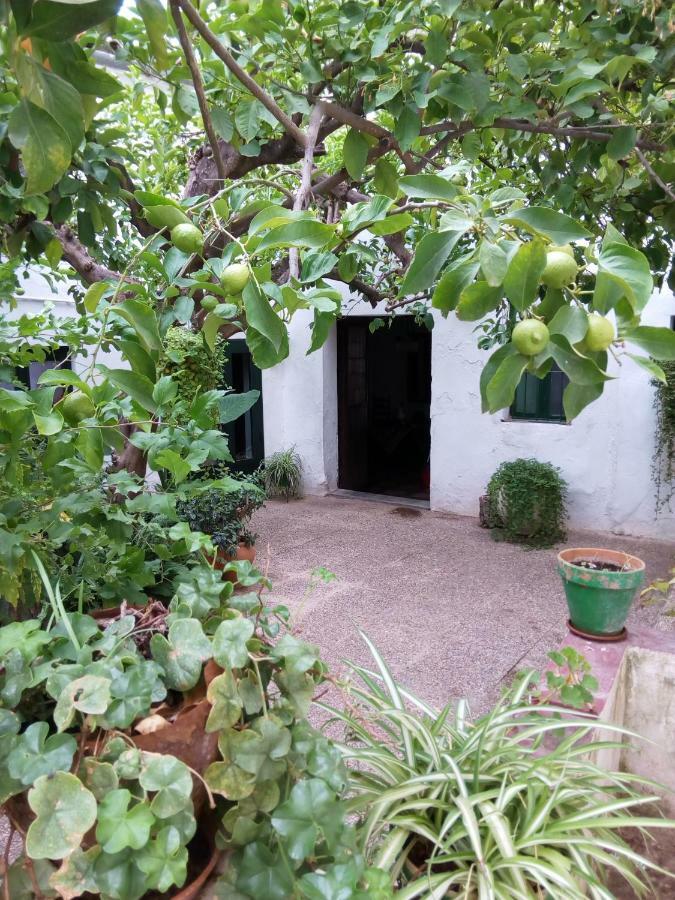 Jimenas * Higuera De La Sierra (Huelva)